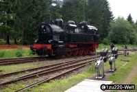 Bild 21
